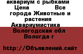 аквариум с рыбками › Цена ­ 15 000 - Все города Животные и растения » Аквариумистика   . Вологодская обл.,Вологда г.